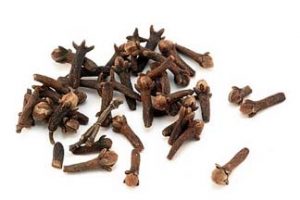 Dried clove, as found in losts of kitches. Cloves have great texture