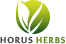 home_horus_logo_small